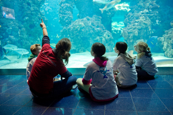 CLUB OCEANO - Stage de découverte sur l'Océan