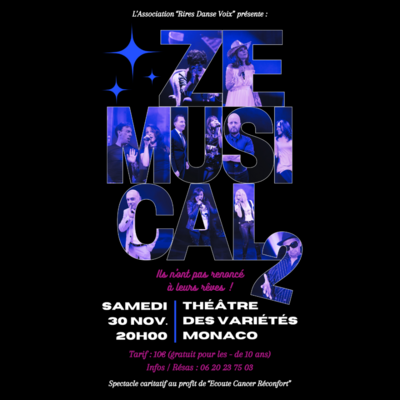 Spettacolo di beneficenza "Ze Musical 2"