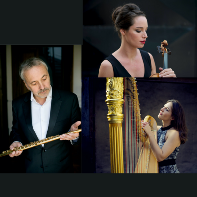 Concert - Bernold Trio