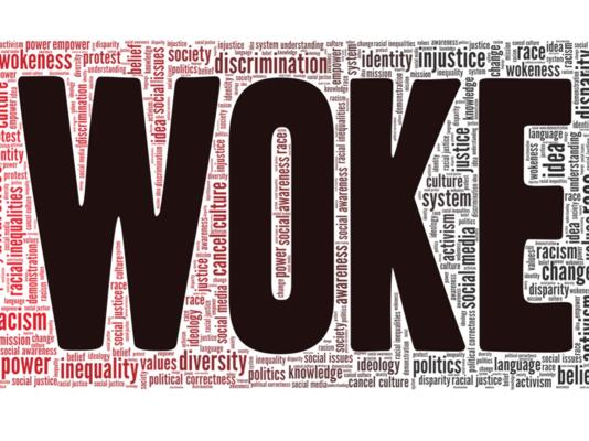Le wokisme : un progrès ?