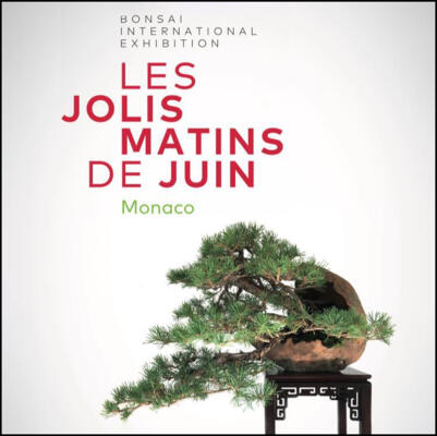 Le belle mattine di giugno