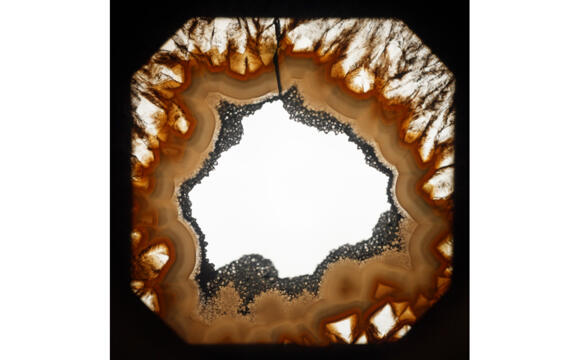 Exhibition - "Francisco Tropa - Paesine"