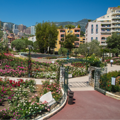 Exhibition "Prince Rainier III, a rose garden in tribute to his wife