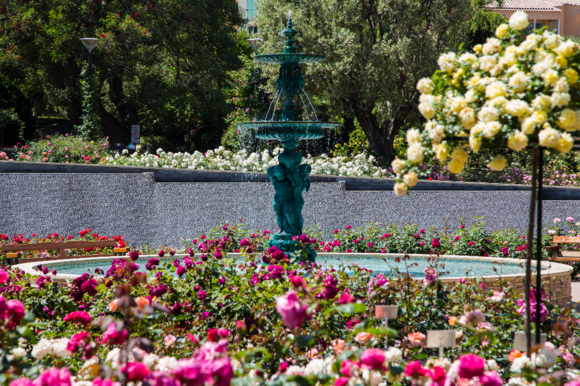 Rendez-vous aux Jardins 2024 - Découverte des 5 sens à la Roseraie Princesse Grace