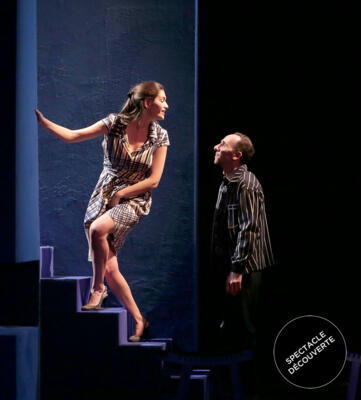 Theatre - "La Délicatesse"