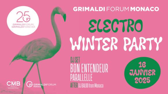 Spectacle - "Electro Winter Party"