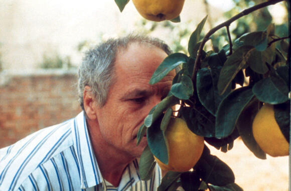 The Art of the Cinema - "Dream of Light"