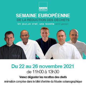 Un giorno, un cuoco, una ricetta anti-spreco