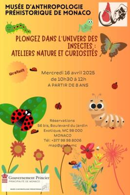 Activity - "Explore the fascinating world of insects"